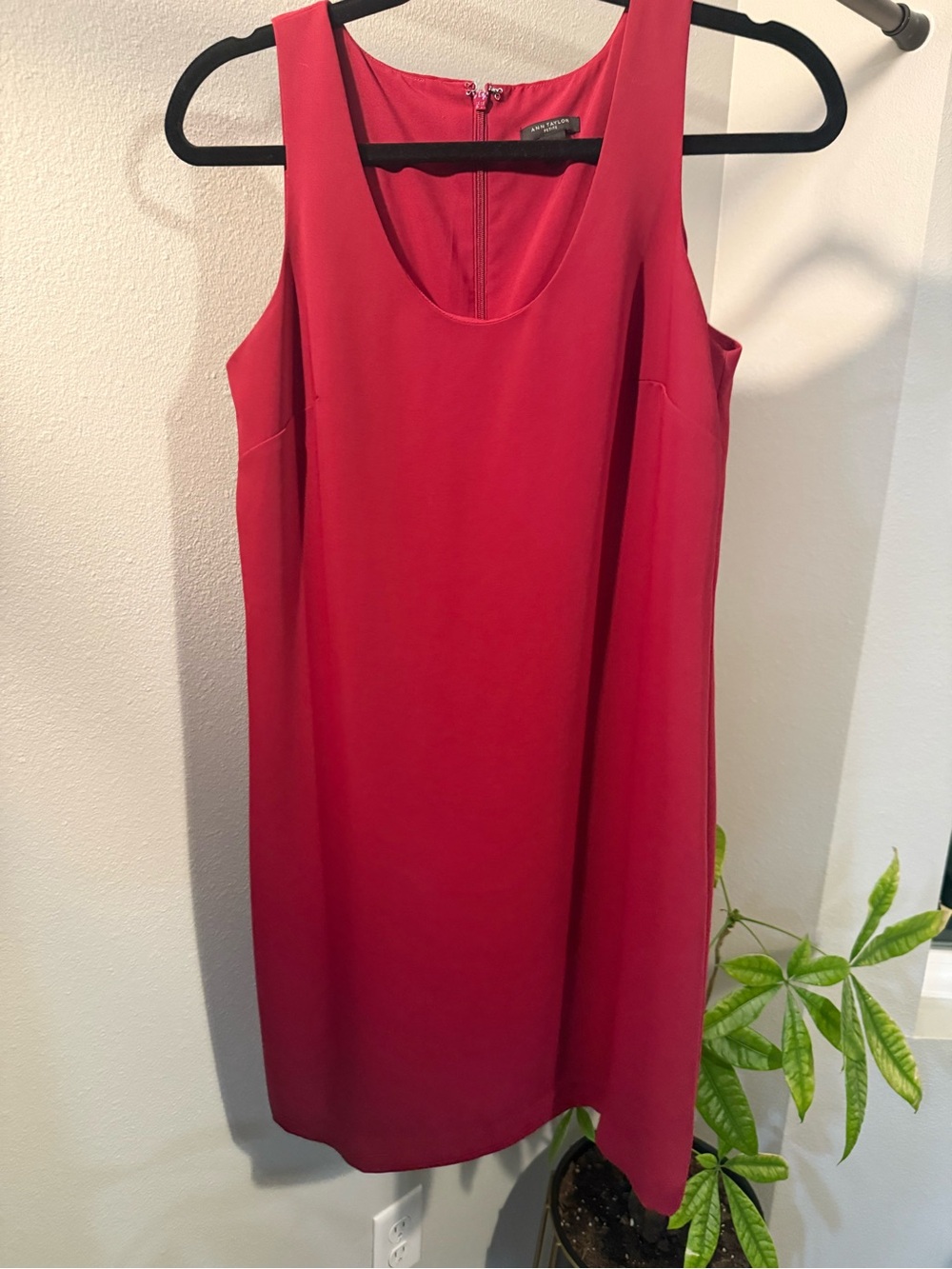 Ann Taylor Petite Sleeveless Shift Dress